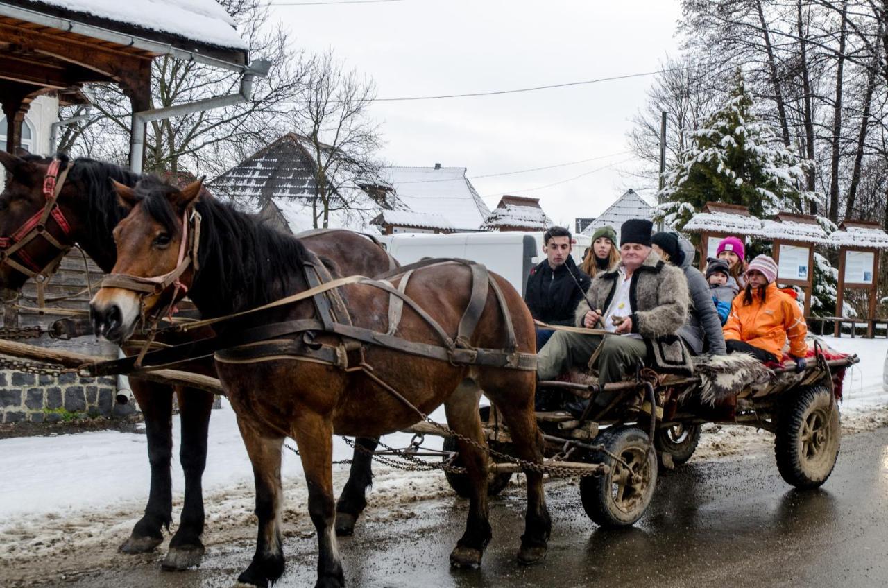 Soare-N Maramures Budeşti Extérieur photo